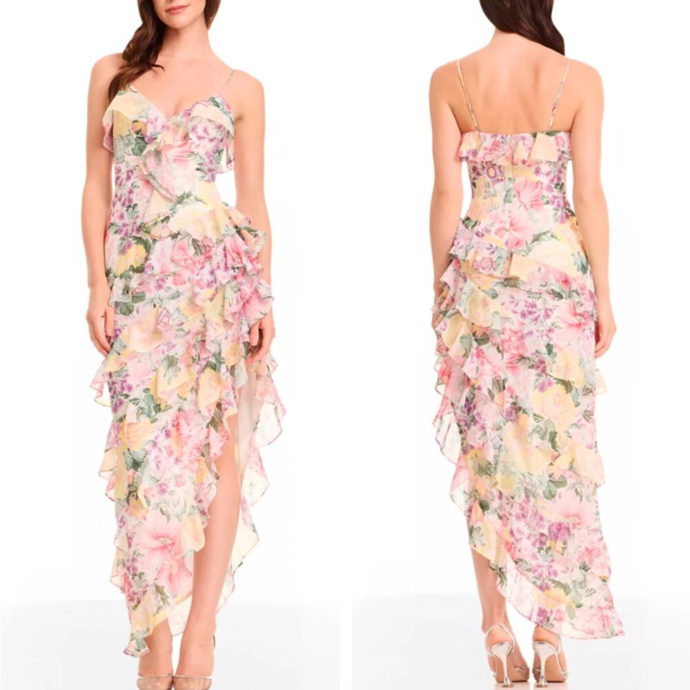Dress the Population Floral Maxi Dress